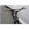 Image 2 : BLACK IRONHORSE BIKE