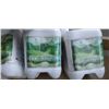 Image 3 : 5 jugs of green sky fortify 4 liter plant nutrient