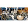 Image 1 : Two mounted animal horns - 2 foot wide and 16 inches wide