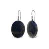 Image 1 : Genuine 40 ctw Sapphire Earrings 14KT White Gold - REF-103T8A