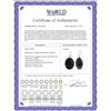 Image 2 : Genuine 40 ctw Sapphire Earrings 14KT White Gold - REF-103T8A