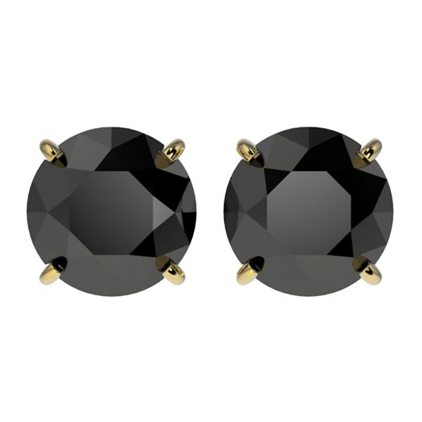2.50 ctw Fancy Black Diamond Solitaire Stud Earrings 10k Yellow Gold - REF-42K2Y