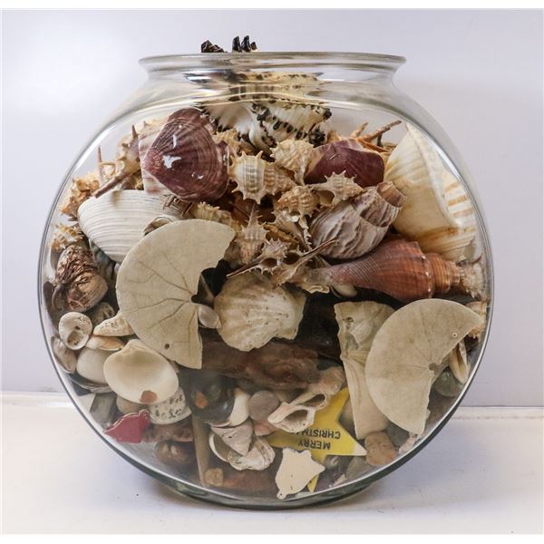 LARGE JAR FULL OF SEASHELLS