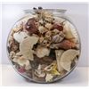 Image 1 : LARGE JAR FULL OF SEASHELLS