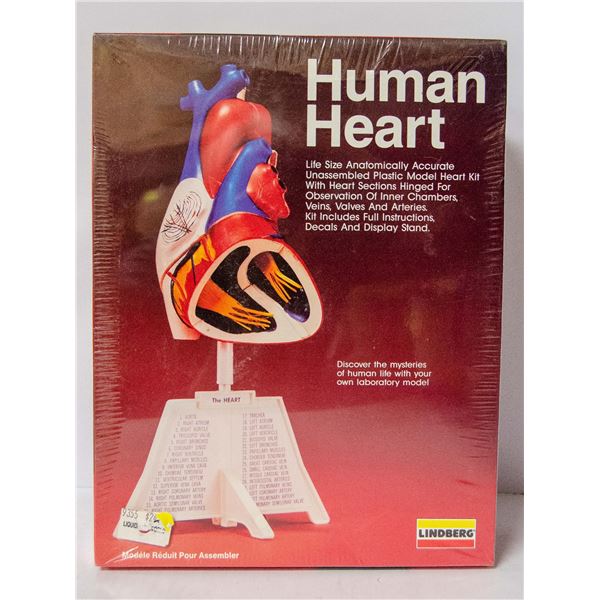LINDBURG HUMAN HEART MODEL KIT