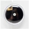 Image 1 : MGI GEMOLOGICAL LAB CERTIFIED 0.30CT DIAMOND