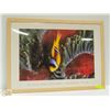Image 1 : SECRET SEA VISIONS- ANEMONE FRAMED FISH