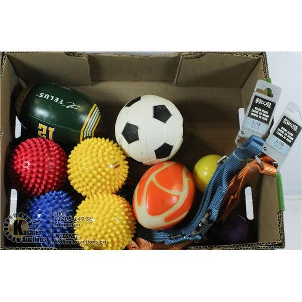 BOX OF DOG TOYS AND LEASHES