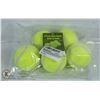 Image 1 : LOT OF 5 TENNIS BALLS FOR DOGS.