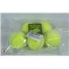 Image 1 : LOT OF 5 TENNIS BALLS FOR DOGS.