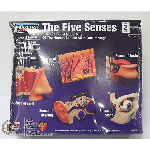 THE 5 SENSES MODEL KIT - WITH 5 INDIVIDUAL MODELS