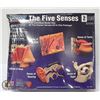 Image 1 : THE 5 SENSES MODEL KIT - WITH 5 INDIVIDUAL MODELS