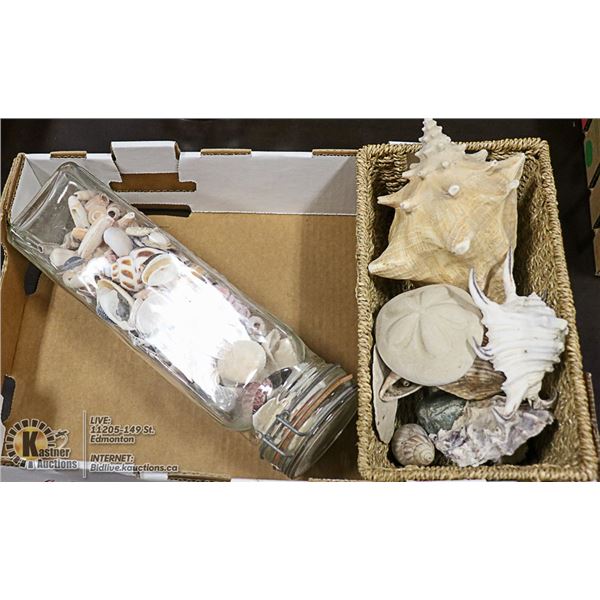 SHELLS- ASSORTED JAR & BASKET LOT