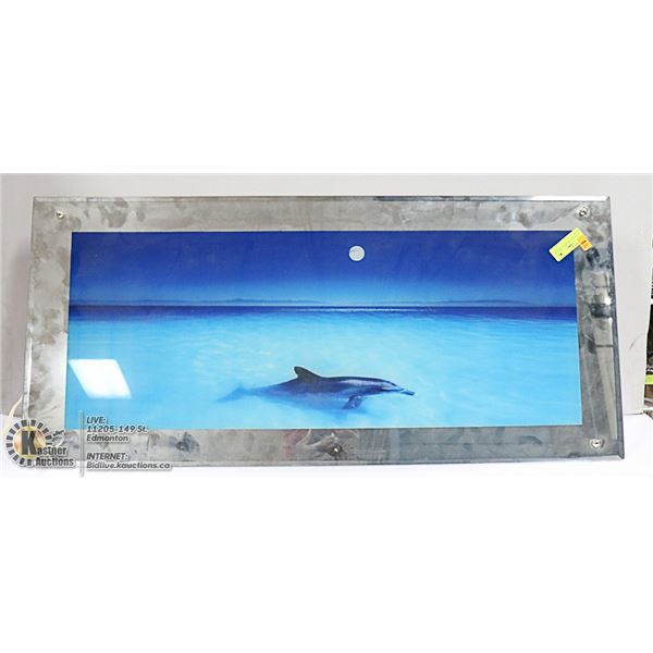 DOLPHIN PICTURE WITH LIGHT AND SOUND