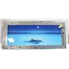 Image 1 : DOLPHIN PICTURE WITH LIGHT AND SOUND
