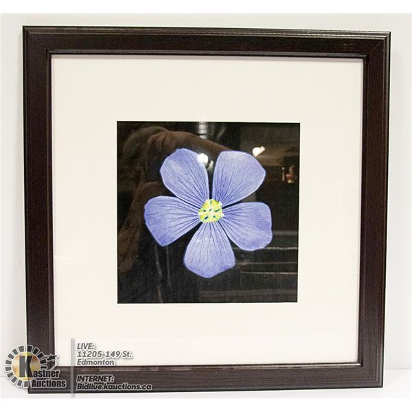 x4 LOCAL ARTIST COLOURED PENCIL FLOWERS FRAMED