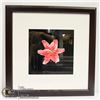 Image 3 : x4 LOCAL ARTIST COLOURED PENCIL FLOWERS FRAMED