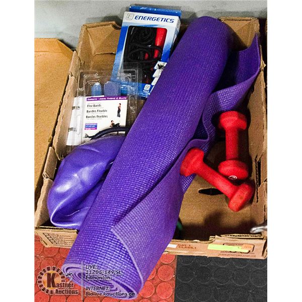 LARGE FLAT OF HOME FITNESS/WORKOUT GEAR