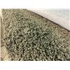 Image 2 : TAUPE MEDIUM SHAG DECORATIVE AREA RUG