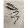 Image 1 : Nut cracker