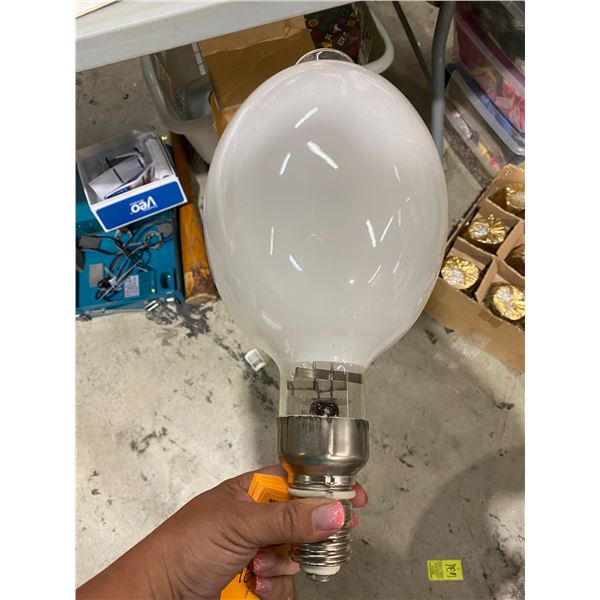 Self ballasted mercury vapor  lamp