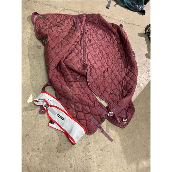 Snug rugs and horse blanket