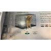 Image 2 : iCrate Double Door Folding Metal Dog Crate | Divider Panel, Floor Protecting Feet, Leak-Proof Dog Tr