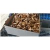 Image 2 : 3 boxes of Plastic bags and large rubber bands