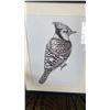 Image 2 : 2 bird prints