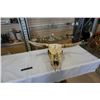 Image 1 : Bull skull with horns