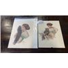 Image 1 : TWO 1900s PRINTS
