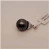 Image 1 : SILVER TAHITIAN PEARL 14-15MM PENDANT