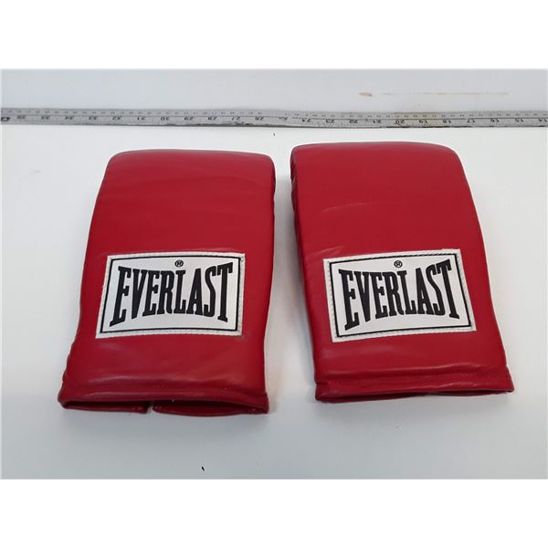 483 --  Everlast Boxing/Heavy Bag Gloves