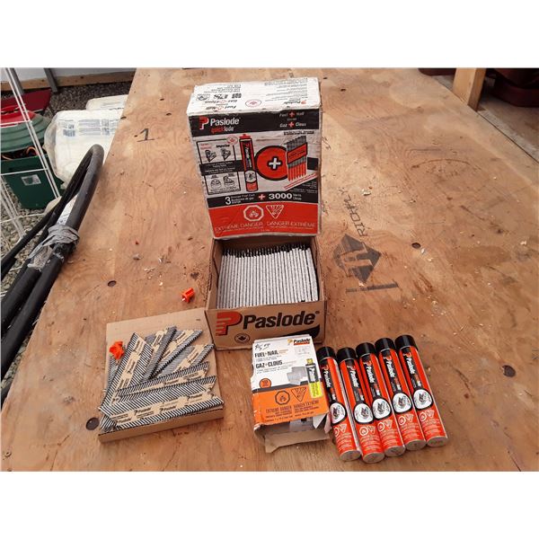 640 --  Lot of Pasload Fuel, Nails and More