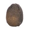 Image 4 : Lot # 10: ALIENS (1986) - Xenomorph Egg