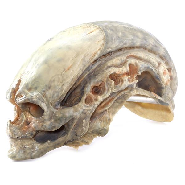 Lot # 15: ALIEN RESURRECTION (1997) - Newborn Hybrid Stand-In Head