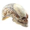 Image 3 : Lot # 15: ALIEN RESURRECTION (1997) - Newborn Hybrid Stand-In Head