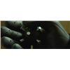 Image 10 : Lot # 38: BATMAN BEGINS (2005) - Pair of Bat-Bombs