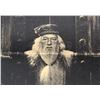 Image 3 : Lot # 107: HARRY POTTER AND THE ORDER OF THE PHOENIX (2007) - "Dumbledore Daft or Dangerous" Daily P
