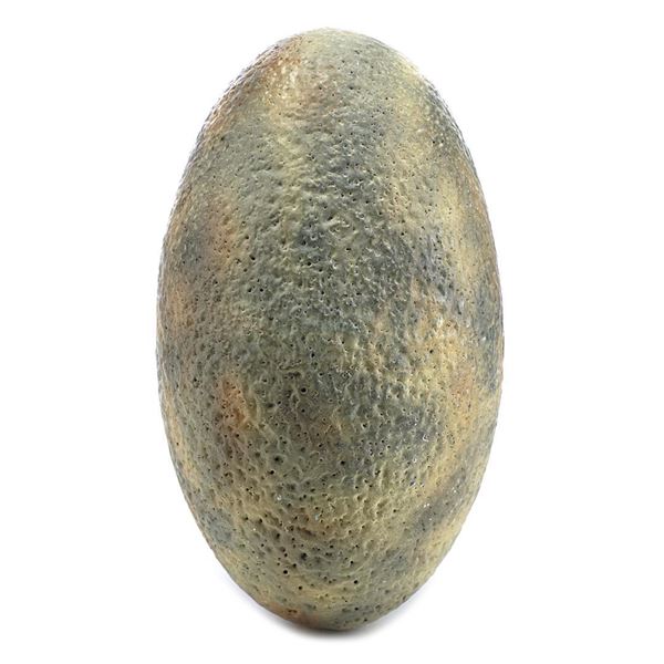 Lot # 153: JURASSIC PARK (1993) - Velociraptor Egg