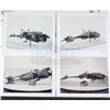 Image 31 : Lot # 312: STAR WARS - EP VI - RETURN OF THE JEDI (1983) - Industrial Light & Magic (ILM) Pre-Produc