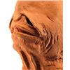 Image 7 : Lot # 316: STAR WARS - EP VI - RETURN OF THE JEDI (1983) - Admiral Ackbar Prototype Mask