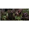Image 8 : Lot # 319: STAR WARS - EP VI - RETURN OF THE JEDI (1983) - Ewok Arrow