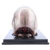Image 2 : Lot # 358: STARSHIP TROOPERS (1997) - Brain Bug Maquette