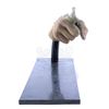 Image 3 : Lot # 374: TERMINATOR 2: JUDGMENT DAY (1991) - T-1000 (Robert Patrick) SFX Finger Reference Model