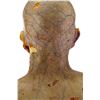 Image 5 : Lot # 540: BLADE II (2002) - Nomak (Luke Goss) Paint Test Head