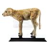 Image 1 : Lot # 570: CITY SLICKERS (1991) - Norman Calf Puppet Display