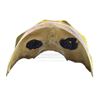 Image 4 : Lot # 674: FLASH GORDON (1980) - Ming the Merciless' (Max Von Sydow) Palace Guard Skull Mask