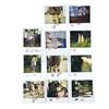 Image 1 : Lot # 678: FORREST GUMP (1994) - Polaroids Featuring Young Forrest (Michael Conner Humphreys), Young
