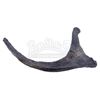Image 1 : Lot # 813: JURASSIC WORLD (2015) - Torch Dinosaur Bone